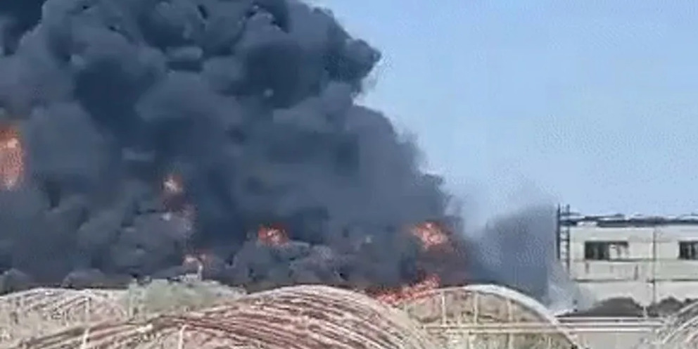 На сегодняшний день
