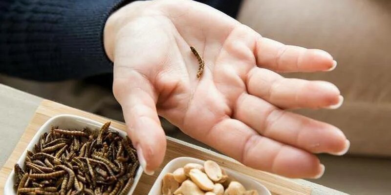 В Латвии заявили, что наличие насекомых и червей в продуктах скрывать не будут