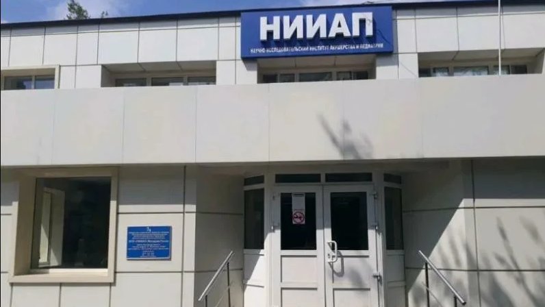 Нииап ростов адрес. НИИАП. НИИАП Новосибирск. НИИАП Ростов логотип.