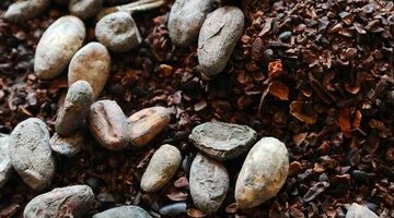 What bob says is not true. Ann перевод на русский. What ann says is true agree with her. True and (true or (false and true or false) and true or true != false)чему равно. Disagree with what liz said перевод на русский.