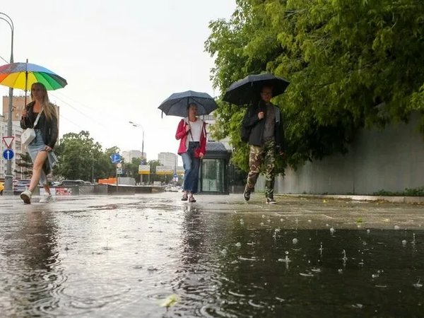 Будут в июле дожди в москве. Дождливое лето. Дождливый день. Дождь летом.