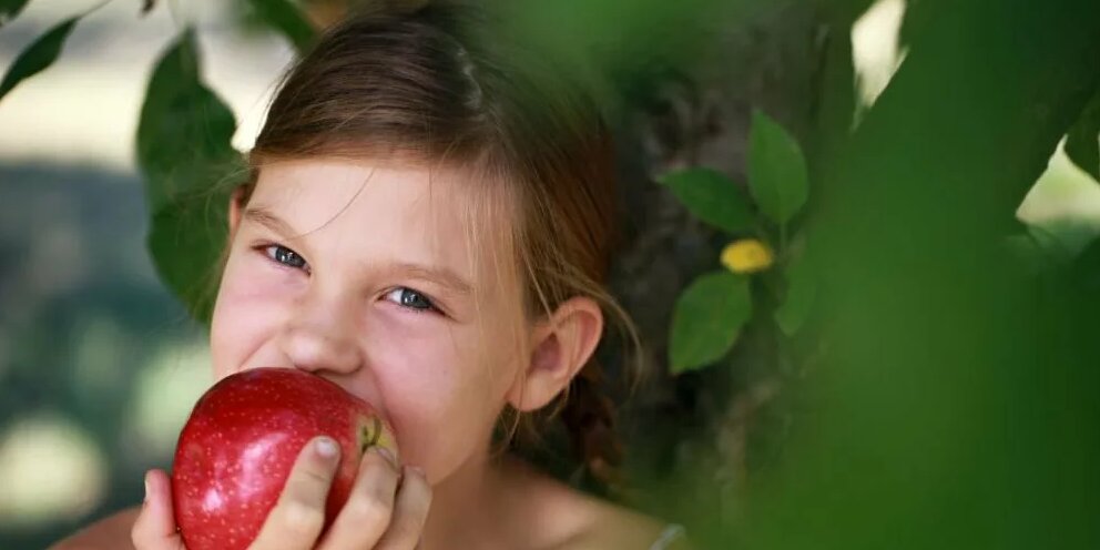 Девочка ест клубнику. Ест яблоко. Аня ест яблоко картинка. Один ест яблоко, а другой смотрит.. Неделю ем яблоки