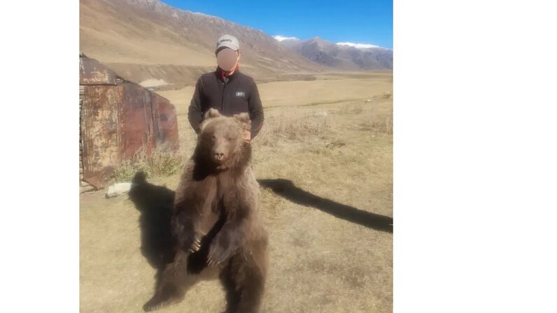 Медведь убил сына и отца телеграмм фото