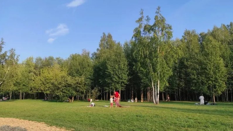 Сколько парков в гектаре. Сколько парков в гектаре