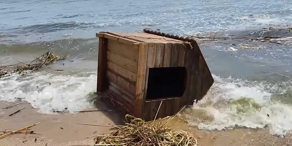 Выбросило на берег