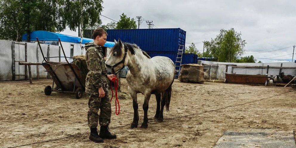 Бизнес план на разведение лошадей