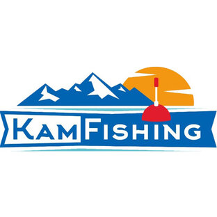 Статистика Дзен KamFishing