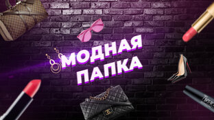 Дзен Модная папка статистика