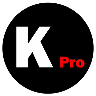 Статистика Дзен Николай Коньков (KONKOV.PRO)