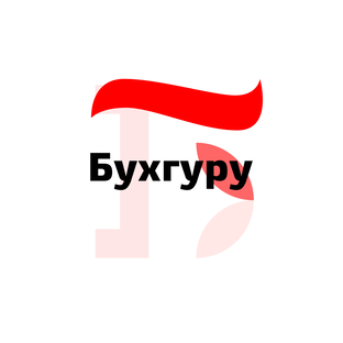 Яндекс дзен БУХГУРУ статистика