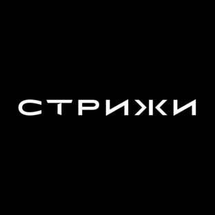 Статистика Дзен Стрижи
