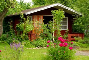 Дзен Пенсионеры пишут статистика