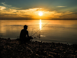 Дзен Живем и радуемся статистика