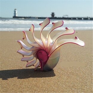 Дзен Old.Nautilus статистика