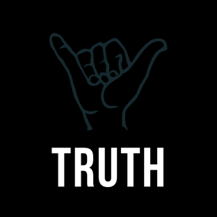Дзен TRUTH статистика