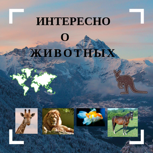 Дзен Интересно о животных статистика
