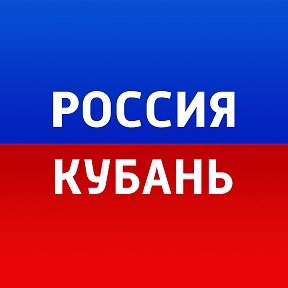 Статистика Дзен Россия. Кубань