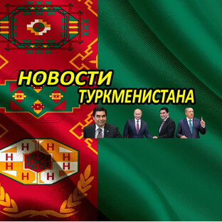 Статистика яндекс дзен Новости Туркменистана