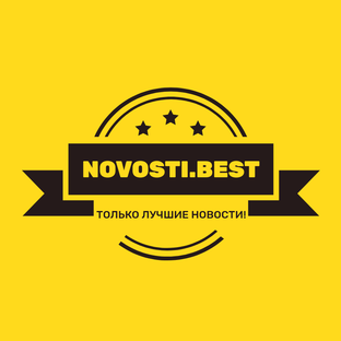 Статистика яндекс дзен Novosti Best
