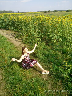 Дзен Истории от Виктории)) статистика