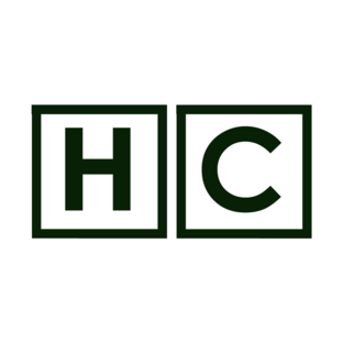 Статистика Дзен HOLIcolors