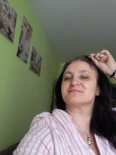 Дзен Дзешико статистика