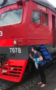 Статистика Дзен Железнодорожье глазами пассажира