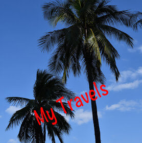 Дзен Му Travels статистика