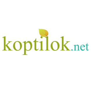 Статистика Дзен Koptilok.net