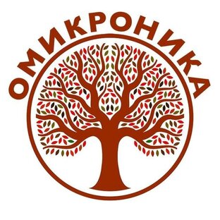 Статистика Дзен "Омикроника" - Анатолия Белоусова