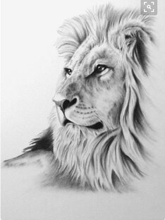 Дзен OleckaU_Art статистика