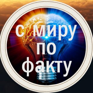 Дзен С миру по факту  статистика