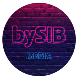 Статистика Дзен bySIB media