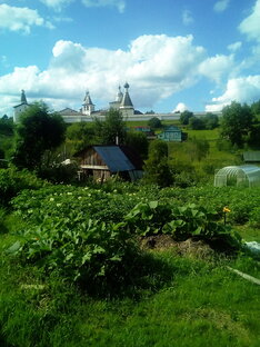 Статистика Дзен Жизнь пенсионера в деревне.
