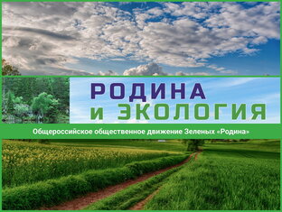 Статистика Дзен Новости Санкт-Петербурга