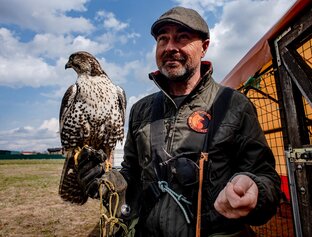 Статистика Дзен Константин Соколов. Около птицы.