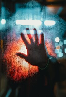 Дзен Записки самоизолированного статистика