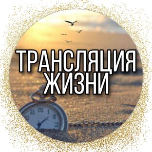 Статистика Дзен Стелла Штро. Трансляция ЖИЗНИ