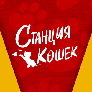 Статистика Дзен Станция Кошек (канал для кошек)