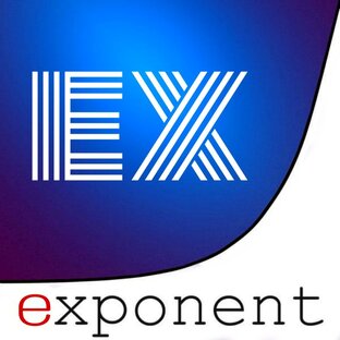 Дзен EXPONENT статистика