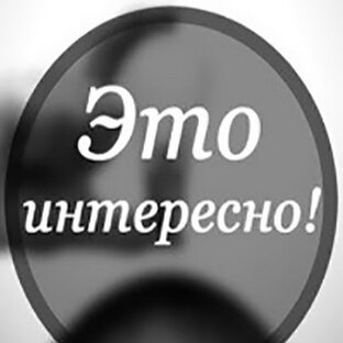 Дзен Это интересно статистика