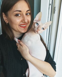 Статистика Дзен Динара и коты