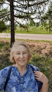 Статистика Дзен Наталья Шестопалова