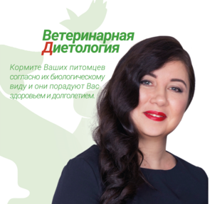 Статистика Дзен ВЕТЕРИНАРНАЯ ДИЕТОЛОГИЯ