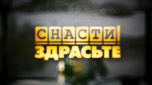Статистика Дзен Снасти здрасьте!