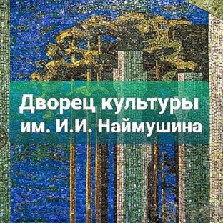 Статистика Дзен ДК им. И.И. Наймушина