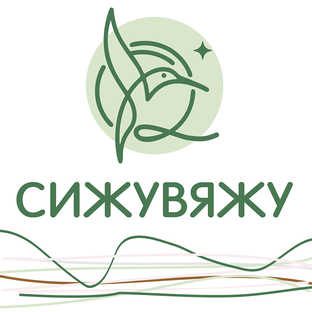 Статистика Дзен Магазин пряжи "СижуВяжу"