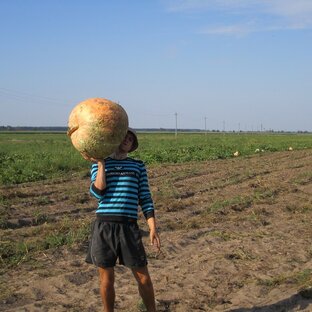 Дзен Артем Колесник статистика