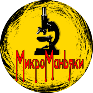 Статистика Дзен МикроМаньяки