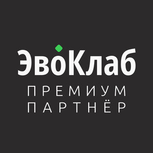 Статистика Дзен ЭвоКлаб